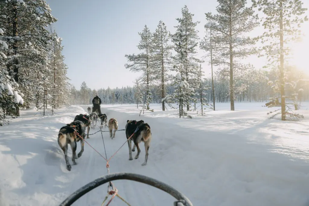 Finnish Lapland
