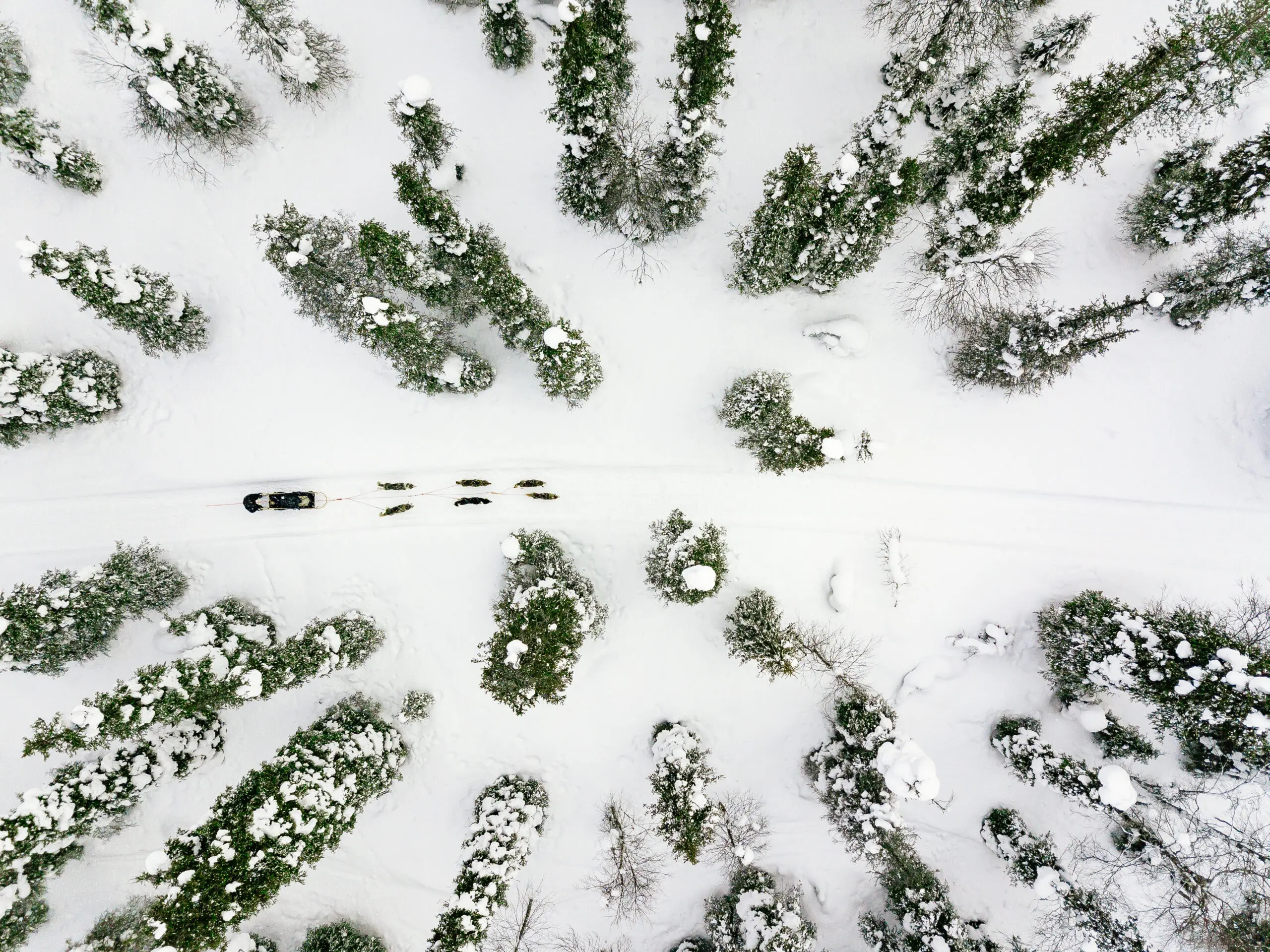 Lappland mit der Familie