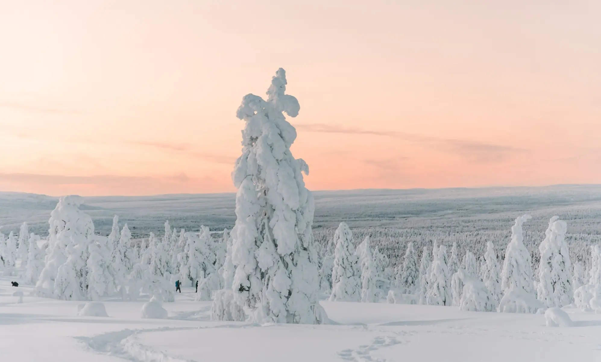 Umgebung Finnisch-Lappland