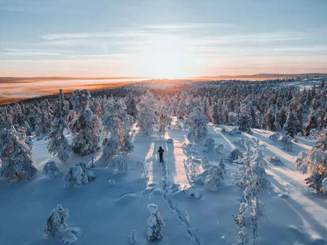 Lapland travel - luosto - Noorderlicht - lapland reizen