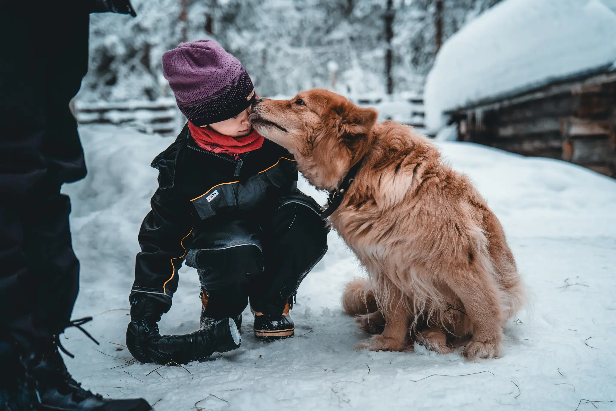 Kinder in Lappland