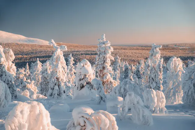 Uitzicht Fins Lapland