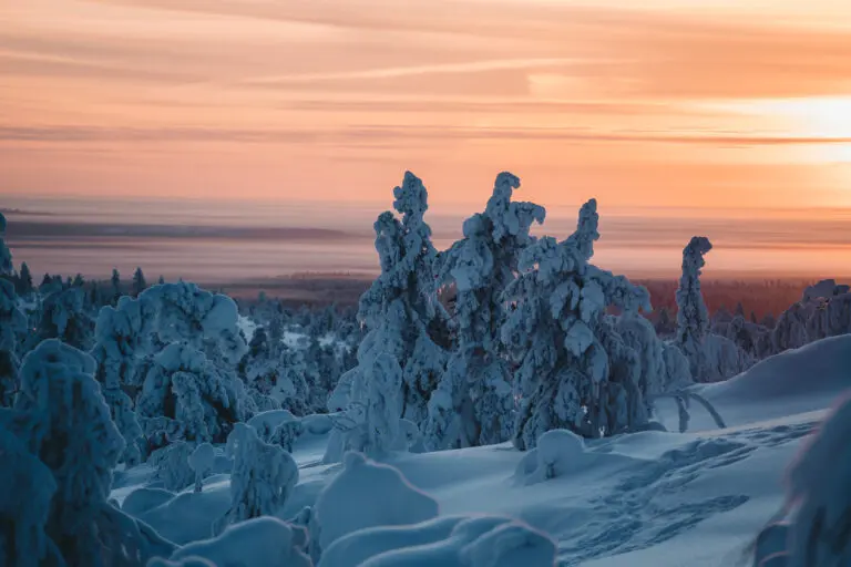 Fins Lapland landschap