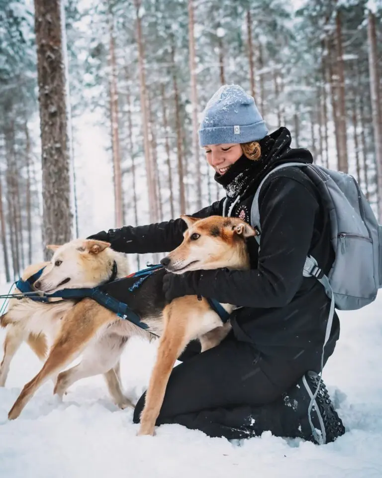 Lappland Reisen - Lappland Travel - Husky Safari - Nordlichter