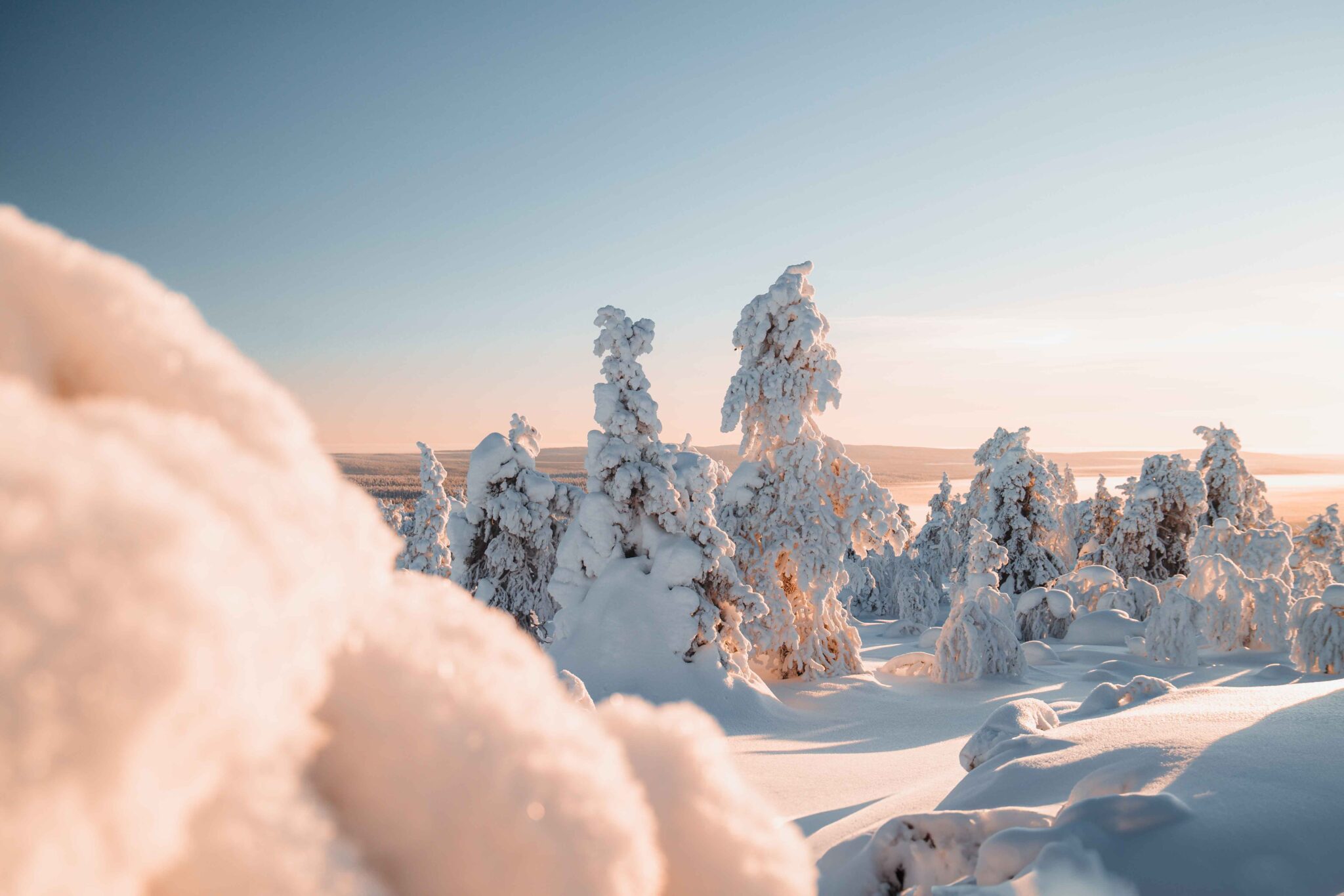 Pallas national park