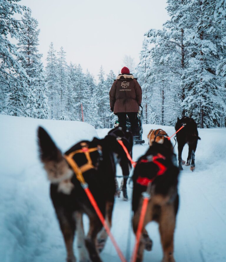 Huskys