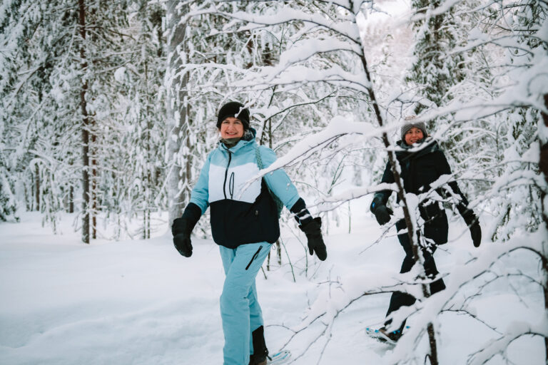 sneeuw in lapland