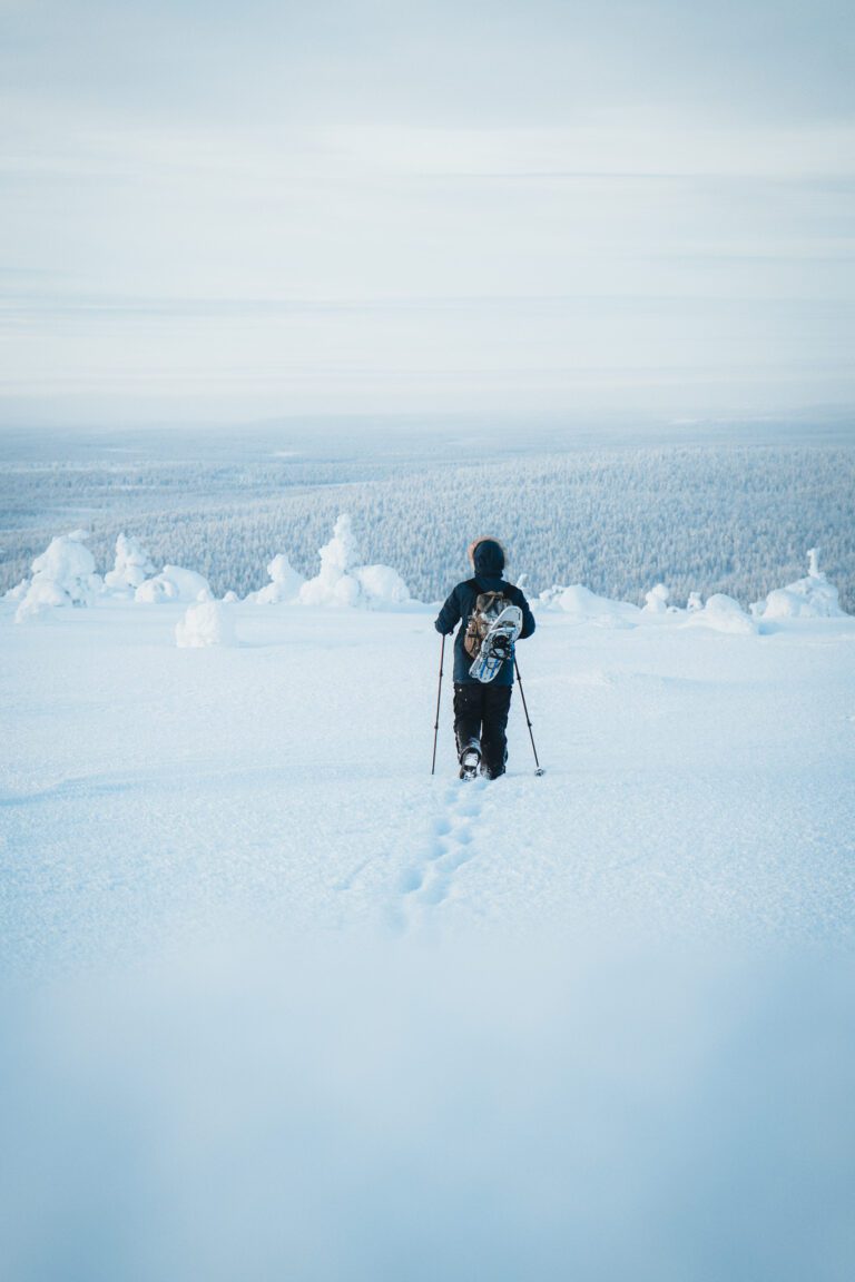 Lappland, Ylläsjarvi, Nordlichter