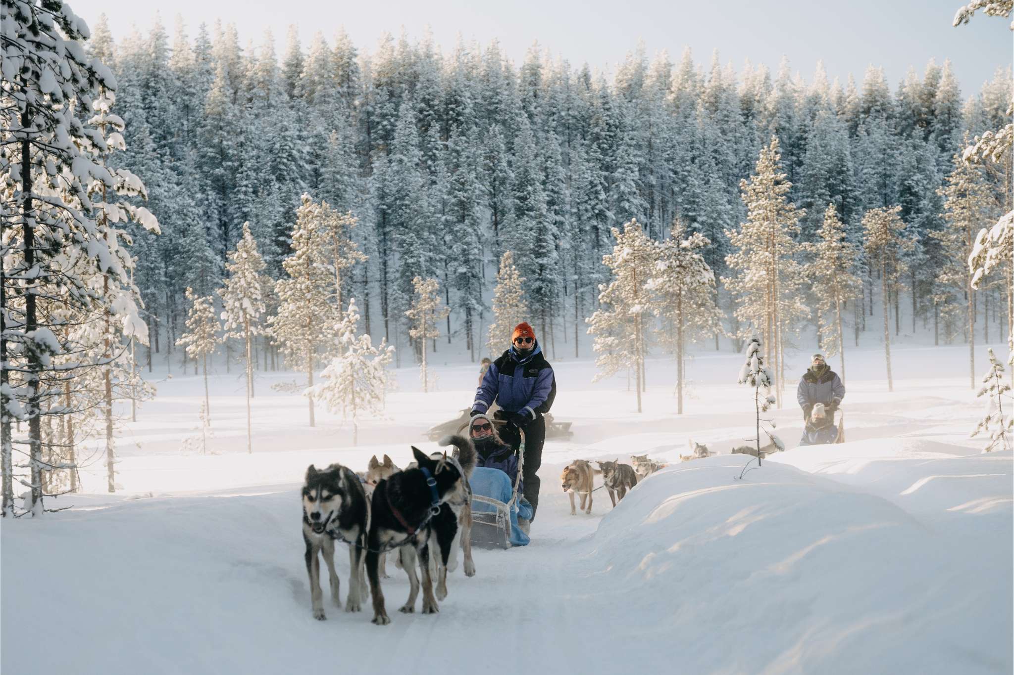 Husky Sledge Lapland