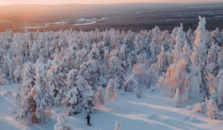 Lapland Travel