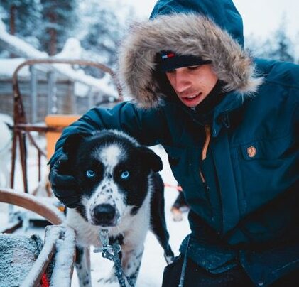 husky safari Lappland