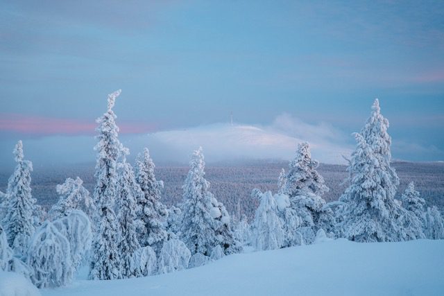 Lapland trip