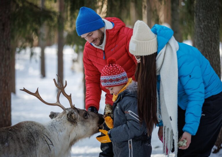 family with child at reindeer Lapland